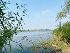 -绿堤公园