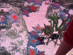 -沈阳海洋探索中心