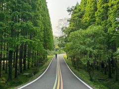 -宜兴龙背山森林公园
