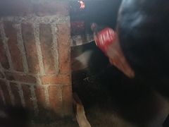 -鱼窝棚柴火铁锅炖(富山屯店)