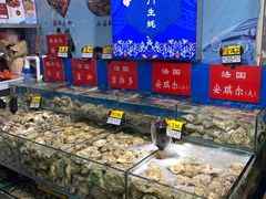 -岳各庄批发市场(西四环中路店)