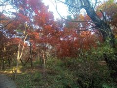 -长春市南湖公园