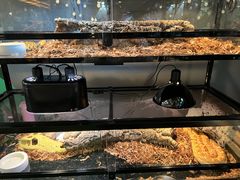 -FAIRYLAND龙族星球主题餐厅(凯丹广场店)