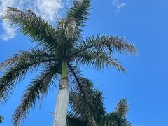 -三亚海棠湾万丽度假酒店