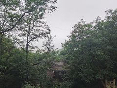 -石老人观光园
