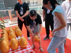 -蓝精灵创客少儿编程(百步亭中心)