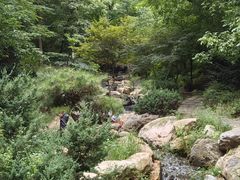 -大连植物园