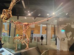 -墨尔本博物馆(Melbourne Museum)