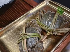-牛New寿喜烧(金鹰世界店)