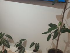 -脊美正骨·推拿·整脊(KKmall京基100店)