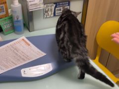 -宠福鑫康馨动物医院·骨科·眼科