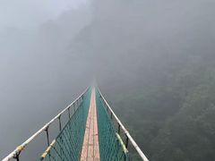 -云南屏边大围山国家公园