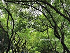-浙江大学(玉泉校区)