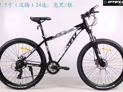 -道路口单车爱瓦士dahon大行