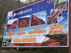 -木兰云雾山