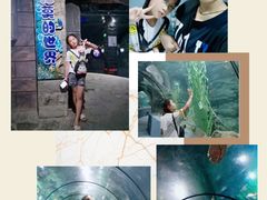-南昌海洋公园