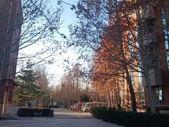 -北京市海淀外国语实验学校