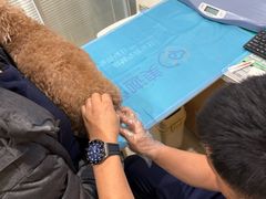 -美迦爱-牙专科·兔科·骨科诊疗中心(北苑店)
