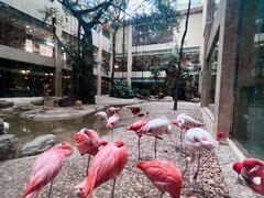 -麒麟中餐厅·经典粤菜·地道菜式老字号(广州长隆酒店)