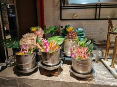 -金石滩鲁能温泉假日酒店·海洋之星餐厅