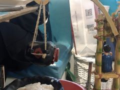 -青瓷火锅料理(西单大悦城店)