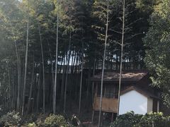 -木子山庄·安徽省老字号·中国炖锅宴