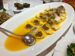 清蒸野生黄鱼-香港龙凤楼(陆家嘴中心店)