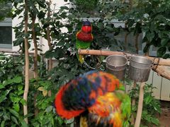 -南宫五洲植物乐园