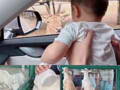 -秦皇岛野生动物园