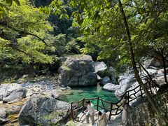 -石台牯牛降景区