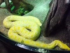 -福州罗源湾海洋世界旅游区