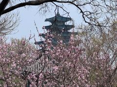 -景福宫