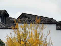 -海关荤豆花(洋河一路店)
