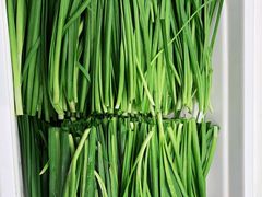 -非烤勿扰自助烤肉海鲜火锅(南城莱蒙店)