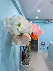 -斐尔国际皮肤管理中心