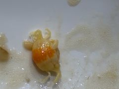 -新山亚明小厨