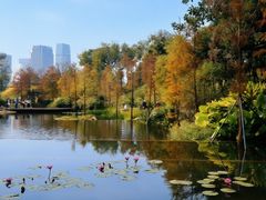 -云溪植物园