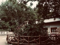 -三圣花乡旅游区