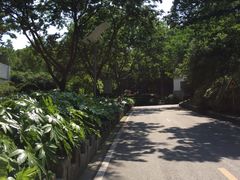 -上海市保健医疗中心(华东疗养院)