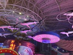 -烟台海昌鲸鲨海洋公园