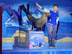 -顺德南宏海立方海洋公园