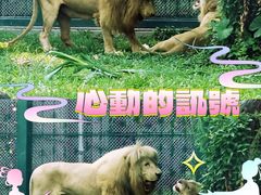 -广州动物园
