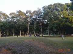-中山大学学者灵芝(园南路店)