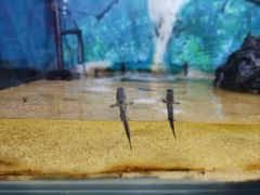 -上海昆虫博物馆