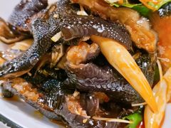 -火齐潮汕砂锅粥(五道口店)