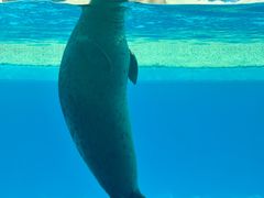 -海合安天津极地海洋公园