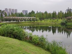-眉山湿地公园(东坡区)