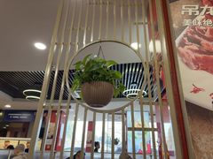-潮汕美牛肉丸火锅店(天宁寺店)