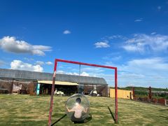 -美家乐农庄·露营·团建(大治路店)