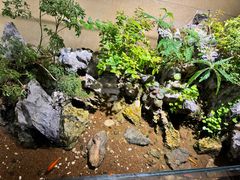-杭州香格里拉·香宫中餐厅